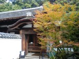 東福寺龍吟庵