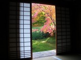 東福寺光明院