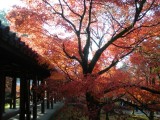 東福寺