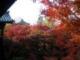 東福寺