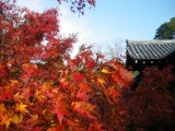 東福寺