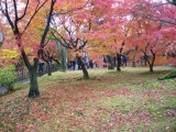 東福寺