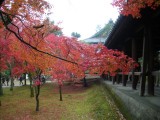 東福寺