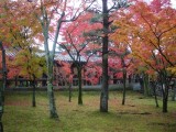 東福寺