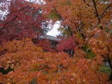 東福寺