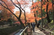 北野天満宮・もみじ苑