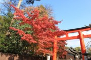 下鴨神社