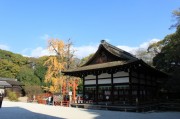 下鴨神社