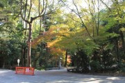 下鴨神社