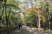 下鴨神社