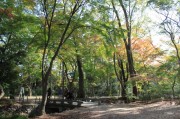 下鴨神社