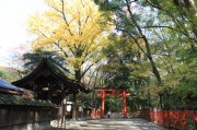 下鴨神社