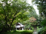 泉湧寺来迎院