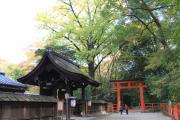 下鴨神社