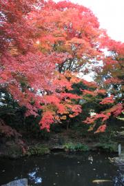 西村家庭園