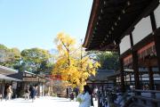 下鴨神社