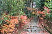 赤山禅院