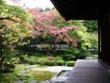 泉湧寺