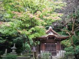 泉湧寺