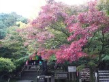 今熊野観音寺