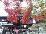 今熊野観音寺