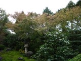 東福寺･天得院