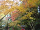 常照寺