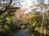 常照寺