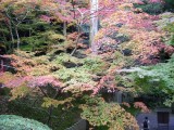 今熊野観音寺