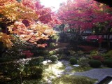 泉湧寺本坊