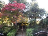 泉湧寺来迎院