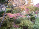 大徳寺芳春院