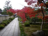 大徳寺芳春院