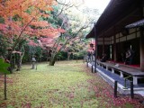 大徳寺高桐院