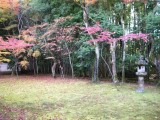 大徳寺高桐院