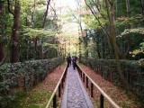 大徳寺高桐院