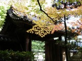 大徳寺高桐院