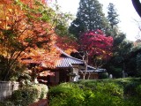 泉湧寺来迎院