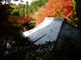 泉湧寺来迎院