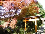 泉湧寺来迎院