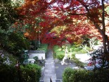 泉湧寺来迎院