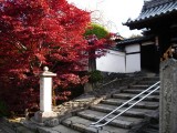 東福寺光明院