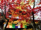 今熊野観音寺