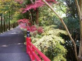 今熊野観音寺