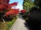 大徳寺芳春院