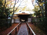 大徳寺高桐院