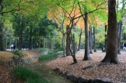 下鴨神社