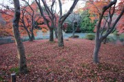 府立植物園