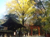 下鴨神社