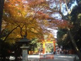 下鴨神社